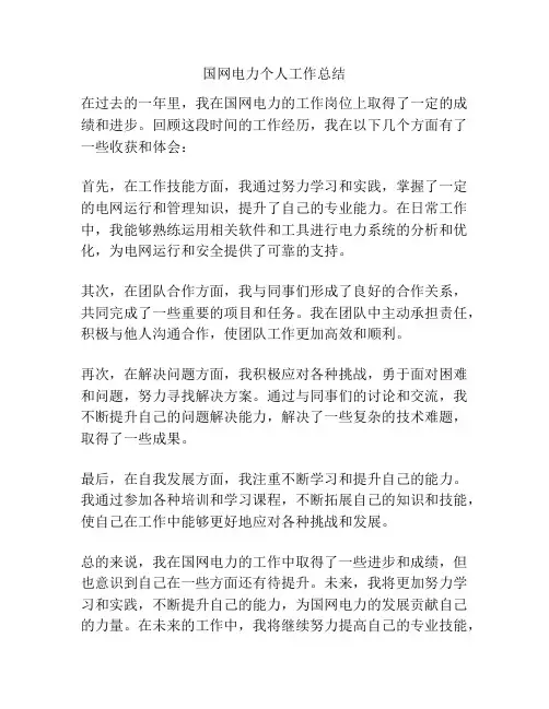 国网电力个人工作总结