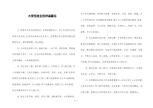 大学生班主任评语意见
