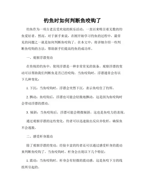 钓鱼时如何判断鱼咬钩了