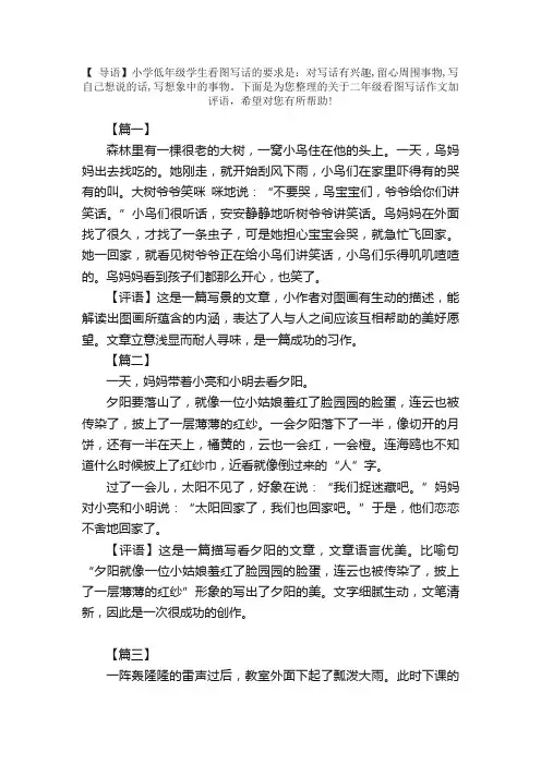 二年级看图写话作文加评语【四篇】