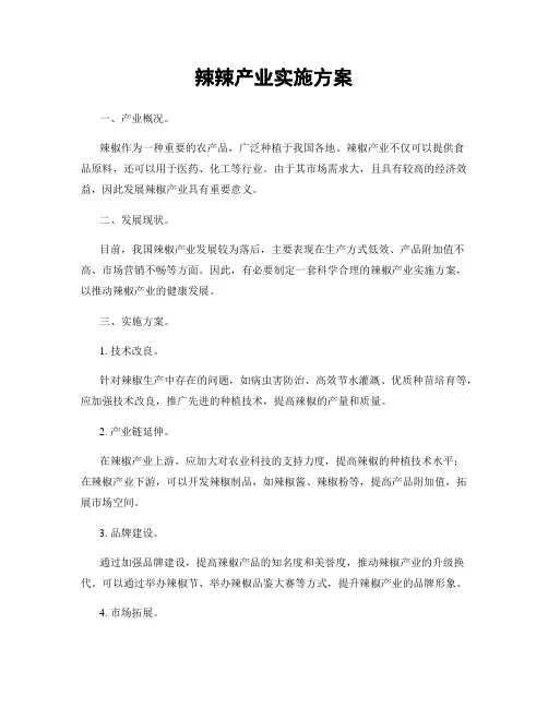 辣辣产业实施方案