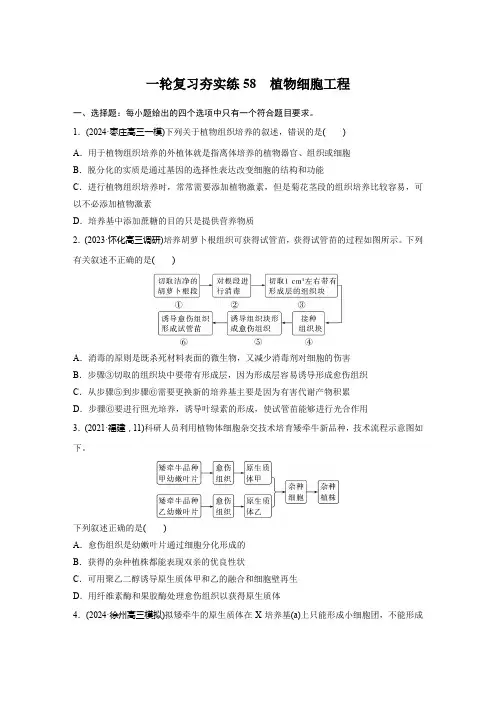 高三生物一轮复习夯实练58植物细胞工程