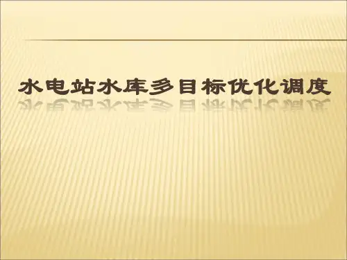 多目标决策(水电站水库优化调度)