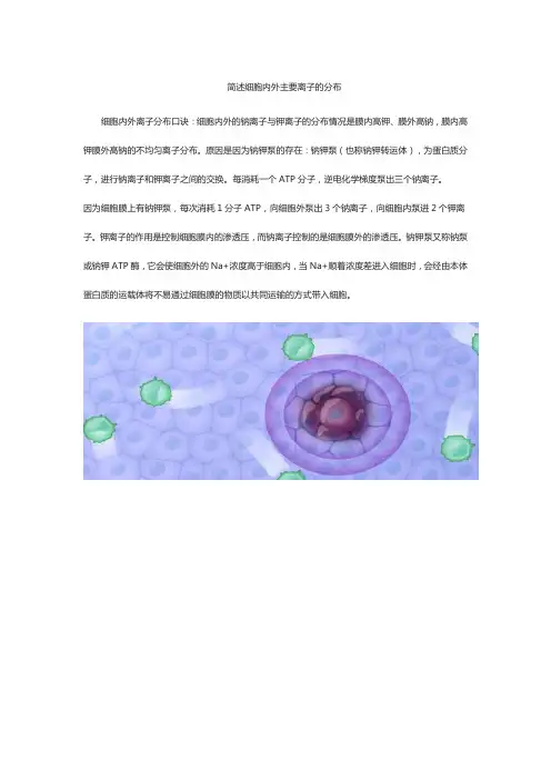 简述细胞内外主要离子的分布
