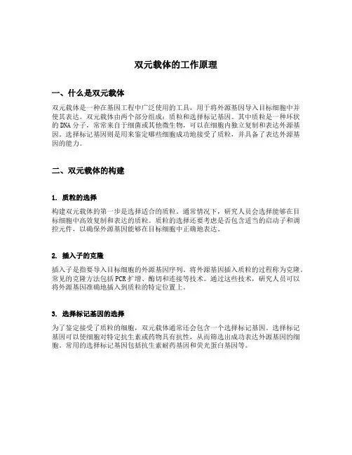 双元载体的工作原理