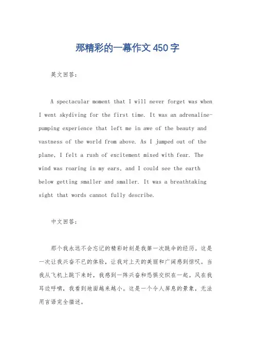 那精彩的一幕作文450字