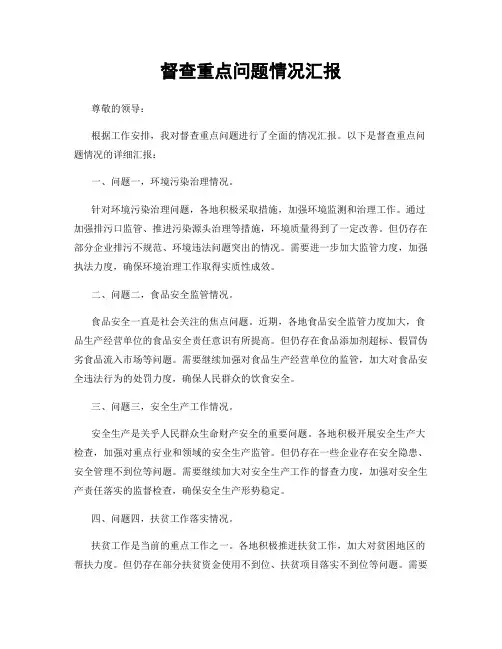 督查重点问题情况汇报