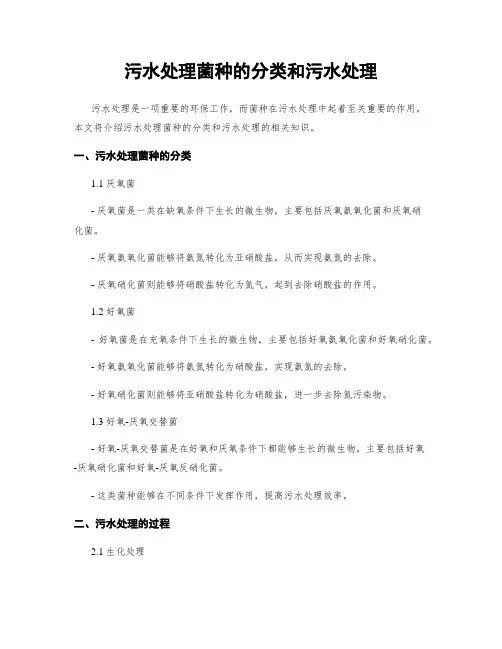 污水处理菌种的分类和污水处理