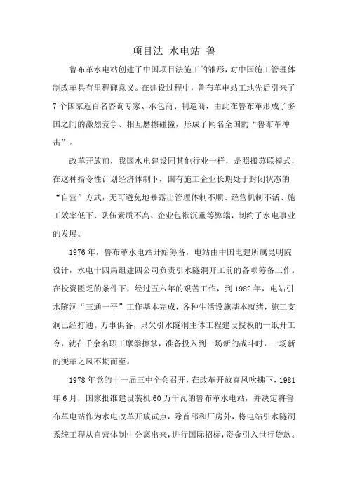 项目法 水电站 鲁