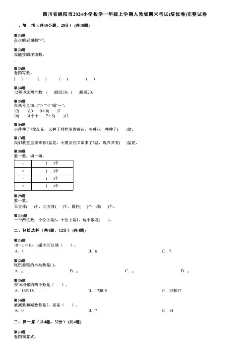 四川省绵阳市2024小学数学一年级上学期人教版期末考试(培优卷)完整试卷