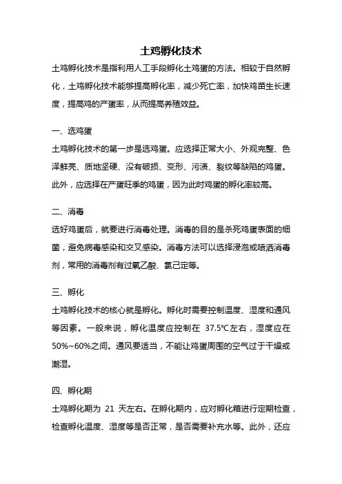 土鸡孵化技术