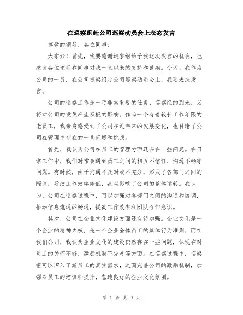 在巡察组赴公司巡察动员会上表态发言