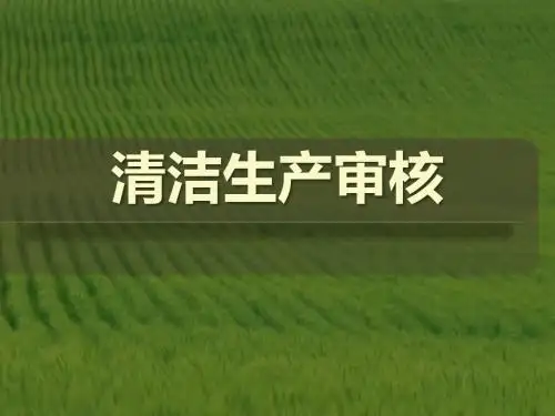 重点企业清洁生产审核