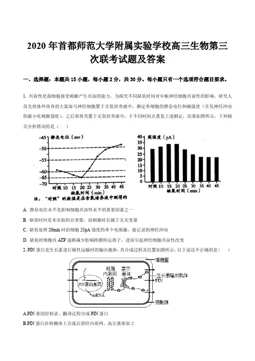 2020年首都师范大学附属实验学校高三生物第三次联考试题及答案
