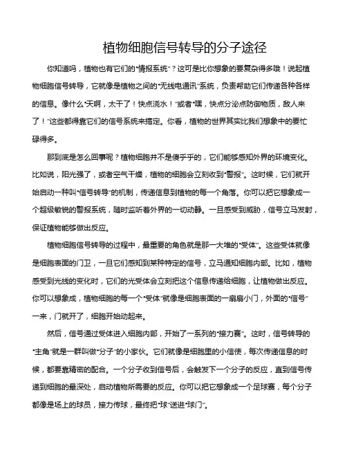 植物细胞信号转导的分子途径