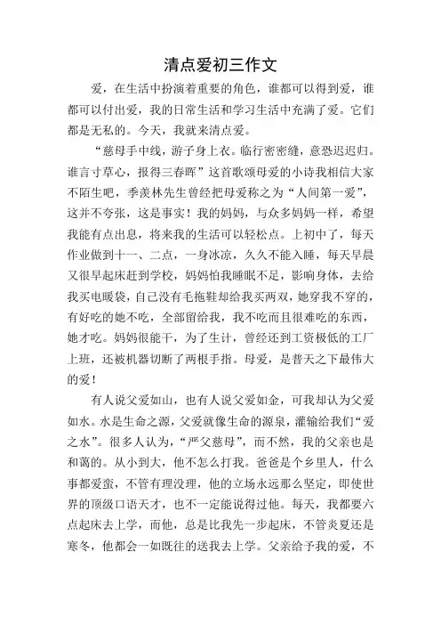 清点爱初三作文