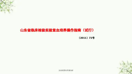 血液细菌培养董海新课件