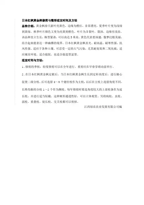 日本红枫黄金枫修剪与整形适宜时间及方法