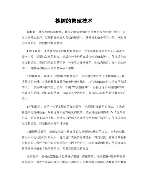 槐树的繁殖技术
