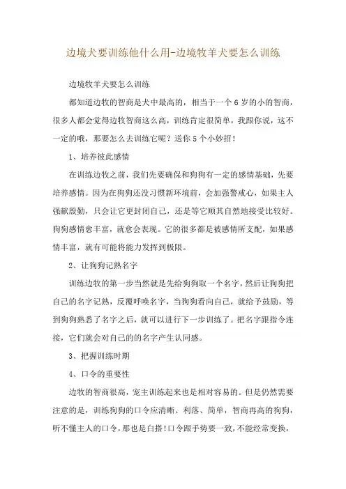 边境犬要训练他什么用-边境牧羊犬要怎么训练