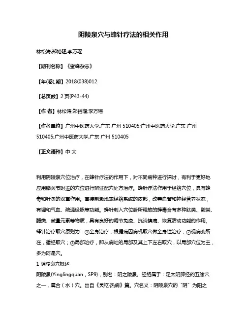 阴陵泉穴与蜂针疗法的相关作用