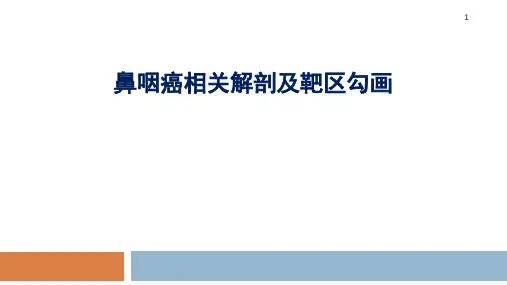 鼻咽癌相关解剖及靶区勾画ppt课件