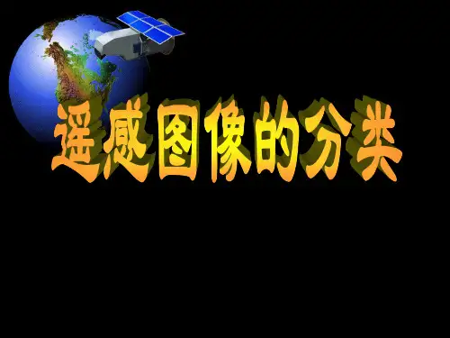 遥感数字图像处理：遥感图像的分类