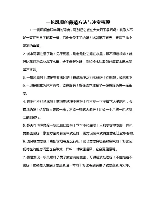 一帆风顺的养殖方法与注意事项