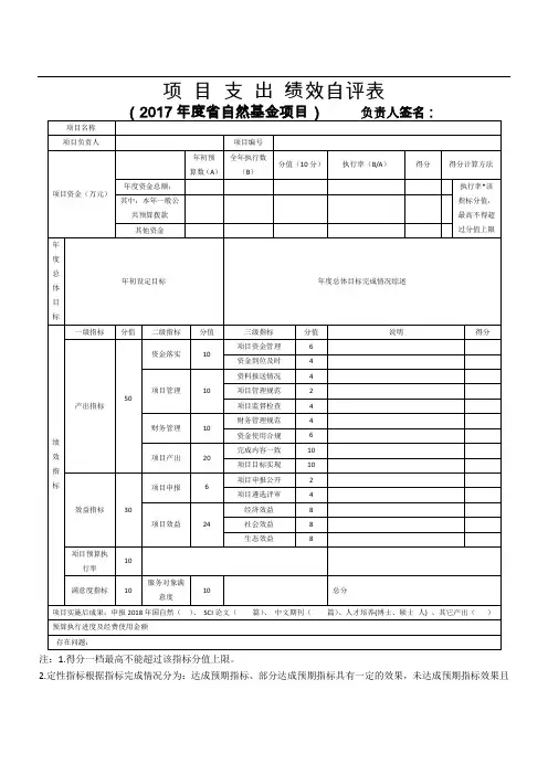 项目支出绩效自评表