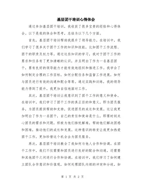 基层团干培训心得体会