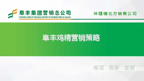 鸡精营销策略