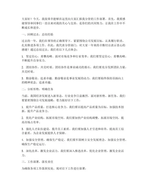 分管领导工作部署发言稿