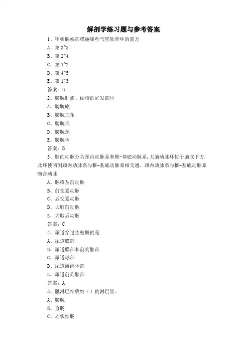 解剖学练习题与参考答案