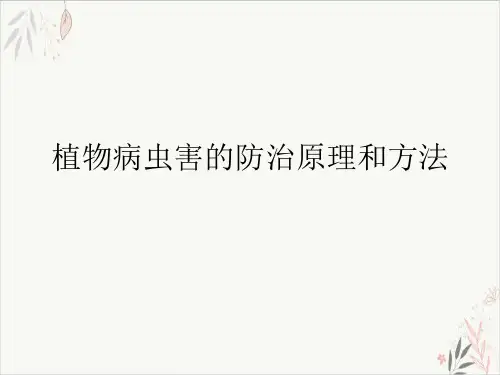 植物病虫害的防治原理和方法PPT.