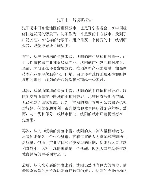 沈阳十二线调研报告