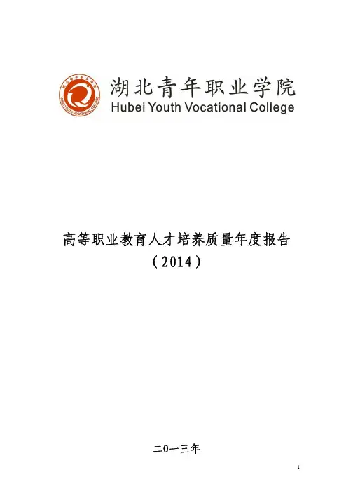 湖北青年2014年人才报告
