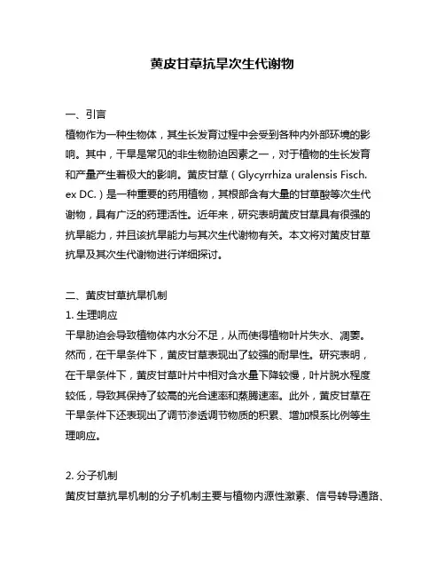 黄皮甘草抗旱次生代谢物