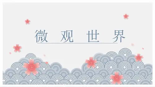 人教版五年级下册美术《微观世界》课件PPT