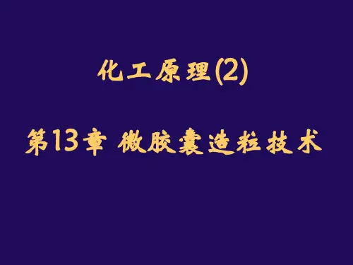 第13章 微胶囊