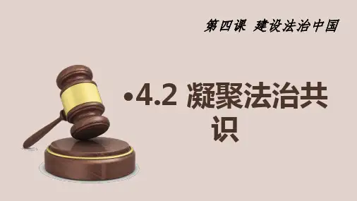 道德与法治《凝聚法治共识》ppt精品课件1