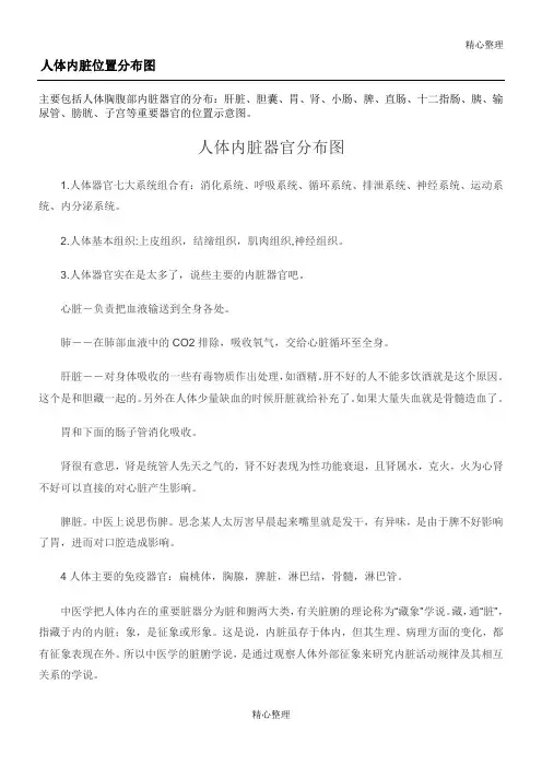 人体内脏器官分布图