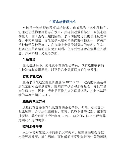 生菜水培管理技术