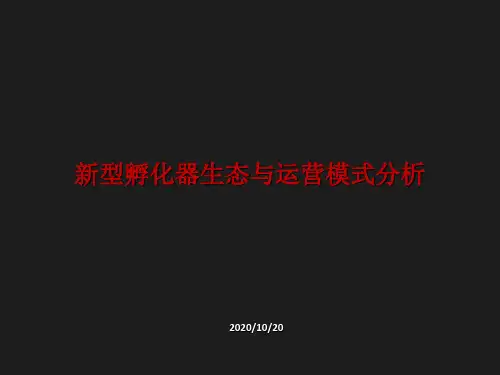 新型孵化器生态与运营模式分析(99日孵化器从业人员培训班授课)精品PPT课件