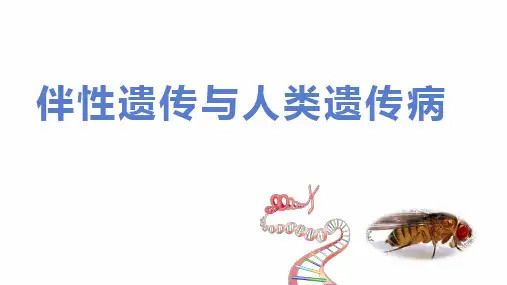 【课件】高三生物一轮复习课件：伴性遗传与人类遗传病
