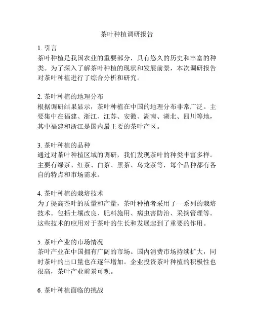 茶叶种植调研报告