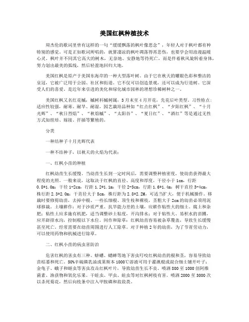 美国红枫种植技术
