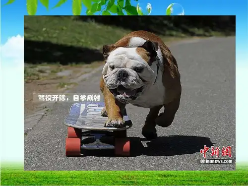 汽车检测站基本知识5