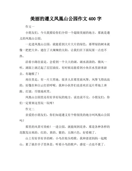 美丽的遵义凤凰山公园作文400字