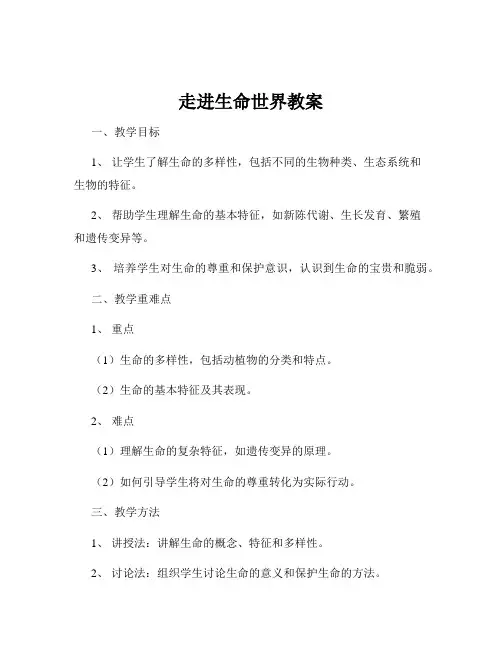 走进生命世界教案