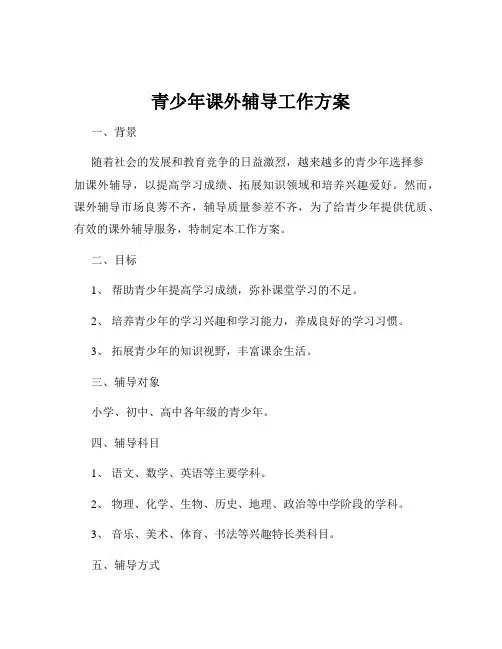青少年课外辅导工作方案